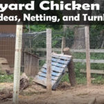 Backyard Chickens DIY Coop