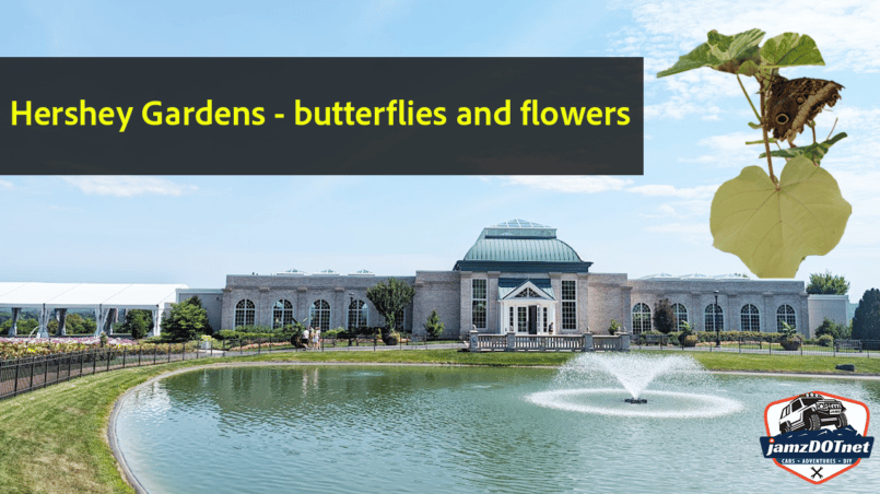 Hershey Gardens - butterflies and flowers