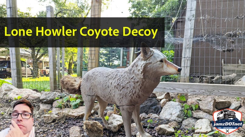 Lone Howler Coyote Decoy
