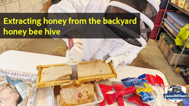 Extracting honey from the honey bee hive