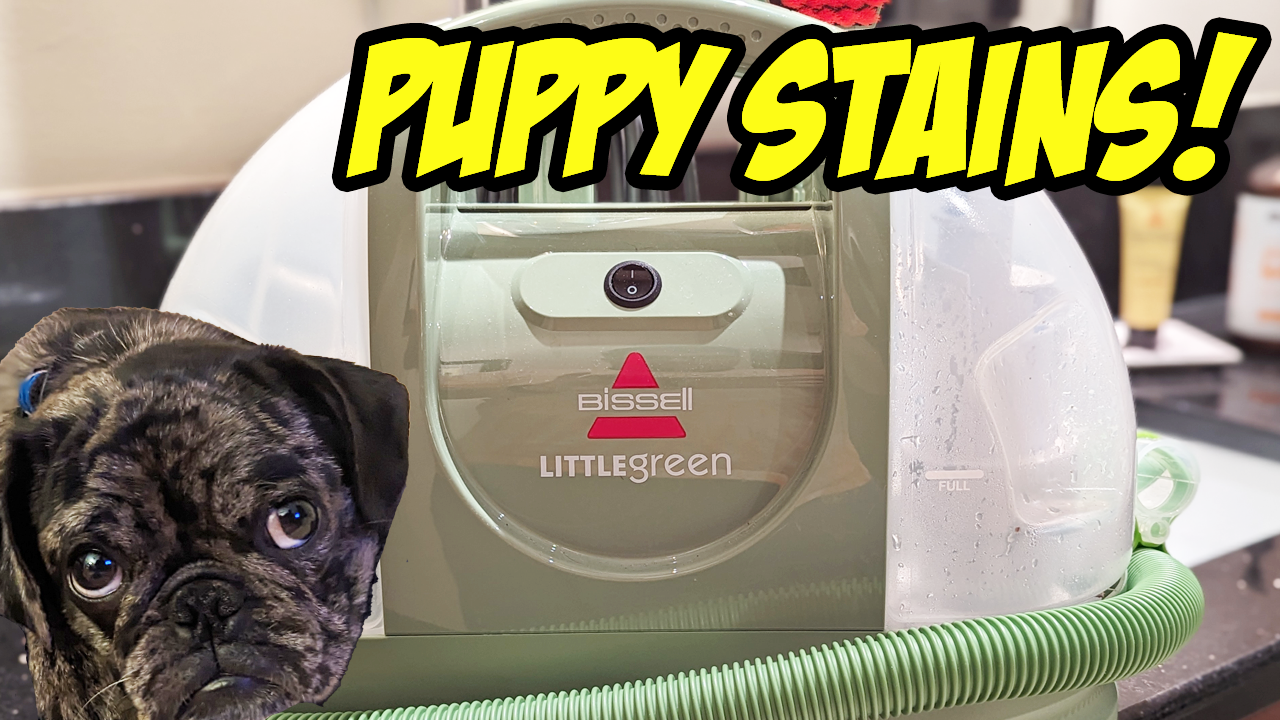 Bye Bye Puppy Stains! Little Green Deep Cleaner by Bissell, does it work?