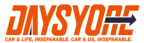 Daysyore Logo