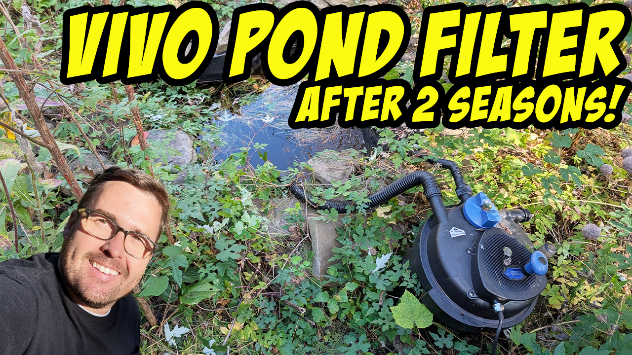 Vivo Home Pond Filter