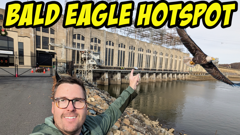 Eagles at Conowingo Dam – Bald Eagle Hotspot – the drive, the dam, and a photographer’s POV!