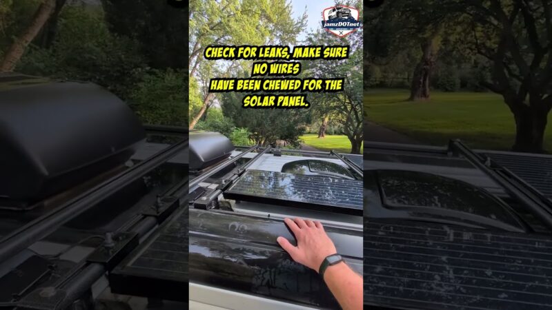 When’s the Last Time You Cleaned Your Camper Van Roof?