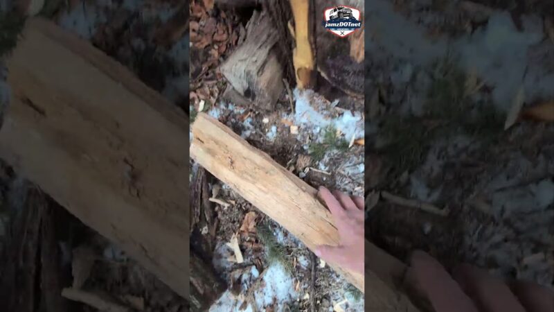 Dry WOOD is the best WOOD – Dry Wood Burns Better. Period.