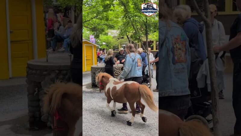 Just a lady and her horse at Knoebels