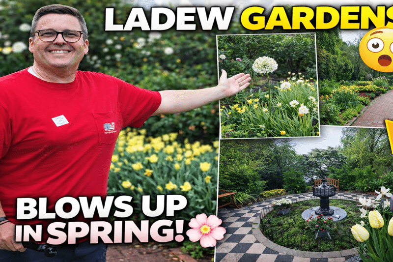 This Hidden Maryland Garden BLOWS UP in Spring 🌸 (Ladew Gardens Tour)
