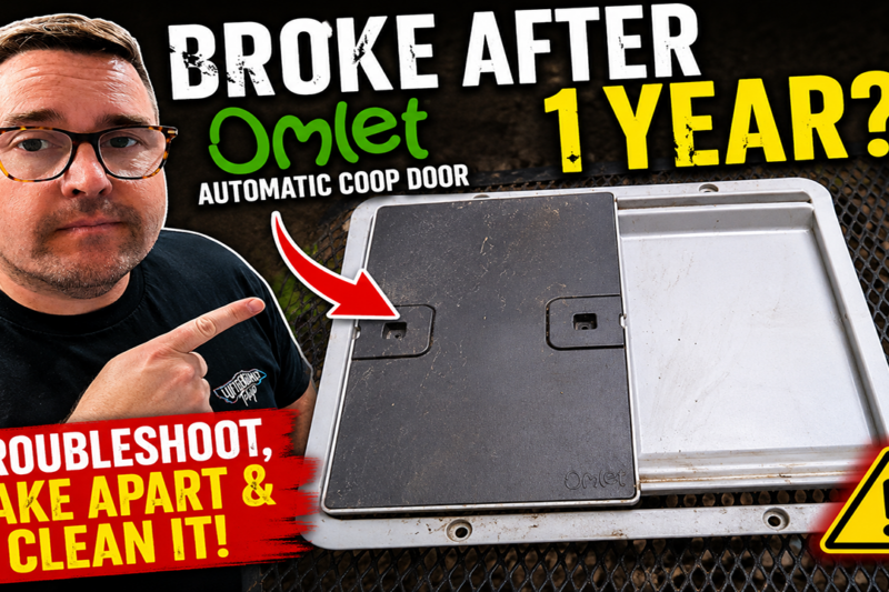 My Automatic Chicken Coop Door FAILED After 1 Year!