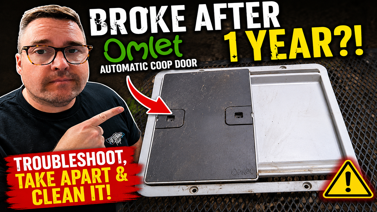 Omlet Coop Door