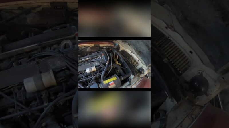 Hunting the Jaguar – Car Engine Inspection