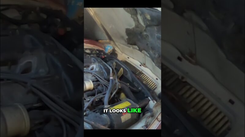 Unlocking the Carriage House –  Mystery & Potential Revealed! Hunting the 1980’s Jaguar!