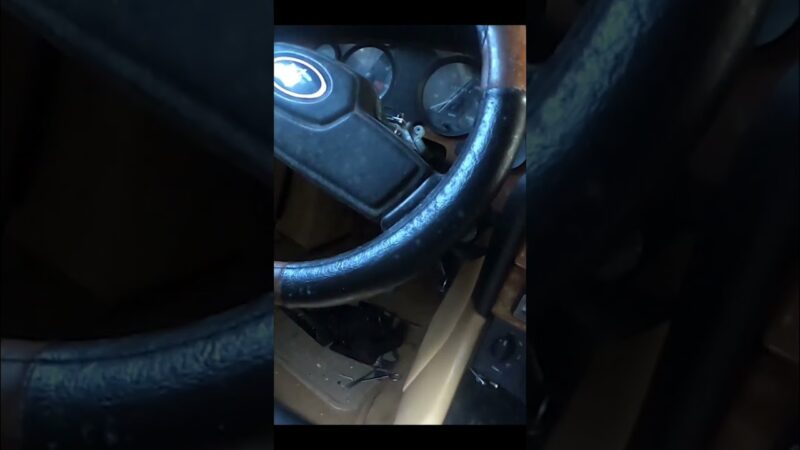 Vintage Car Surprise – Mice & Mold Found Inside! Hunting a 1980s Jaguar XJ6