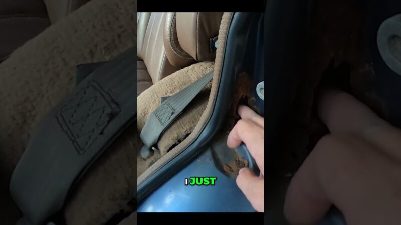 Range Rover Rot: Can THIS Be Saved?