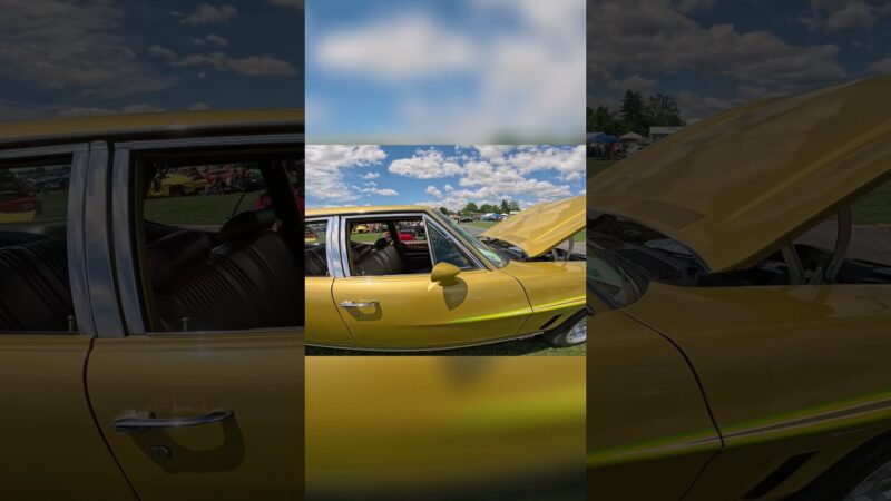 GTOs and Pups  The Cutest Car Show Surprise You’ll See!