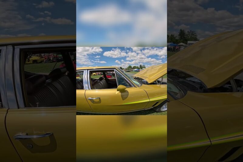 GTOs and Pups  The Cutest Car Show Surprise You’ll See!