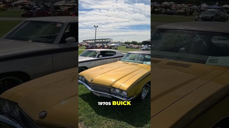 Vintage Vibes! This 1972 Buick Skylark Stole the Show!