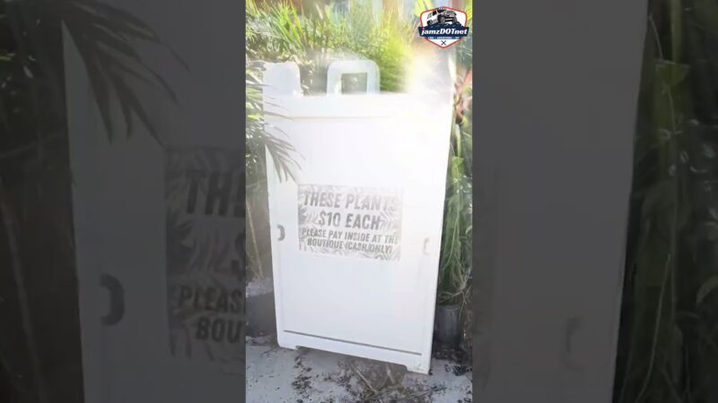 Ya Mon! $10 Tropical Plants at Seacrets Jamaica USA in Ocean City Maryland
